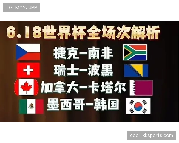 瑞士小组赛全记录：平卡塔尔、胜波黑、胜加拿大
